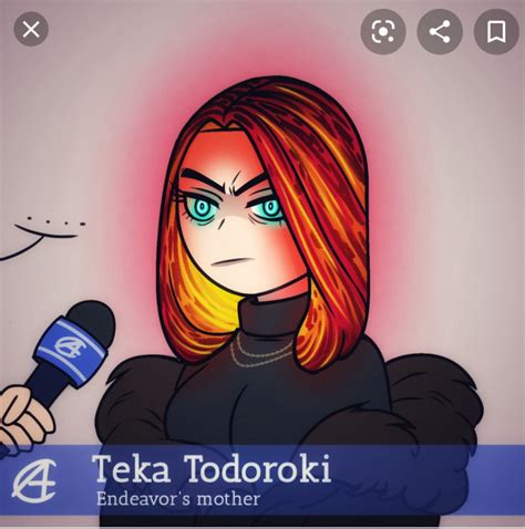 who is teka todoroki|Yoshino Todoroki 